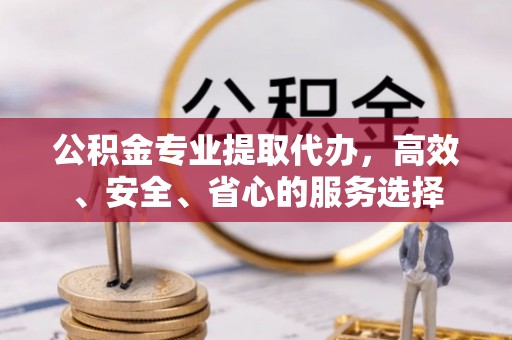 陵水公积金专业提取代办，高效、安全、省心的服务选择