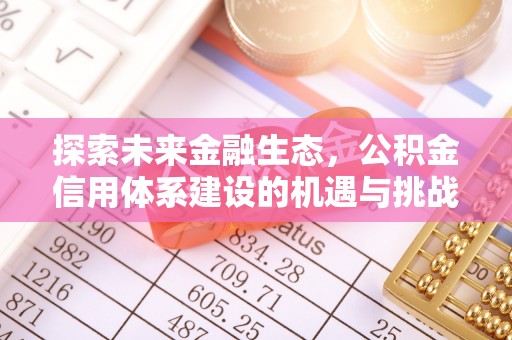 陵水探索未来金融生态，公积金信用体系建设的机遇与挑战