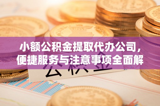 陵水小额公积金提取代办公司，便捷服务与注意事项全面解析