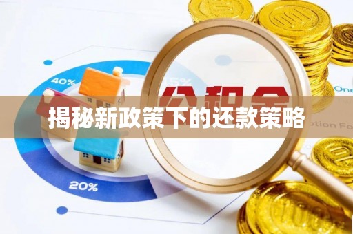 陵水揭秘新政策下的还款策略