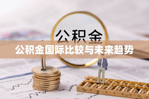 陵水公积金国际比较与未来趋势