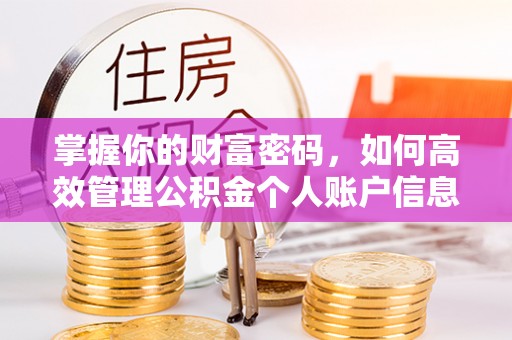 陵水掌握你的财富密码，如何高效管理公积金个人账户信息