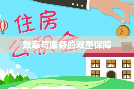 陵水效率与服务的双重保障