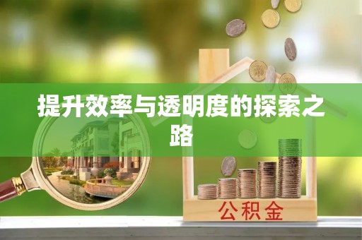 陵水提升效率与透明度的探索之路