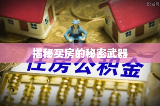 陵水揭秘买房的秘密武器