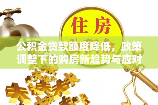 陵水公积金贷款额度降低，政策调整下的购房新趋势与应对策略