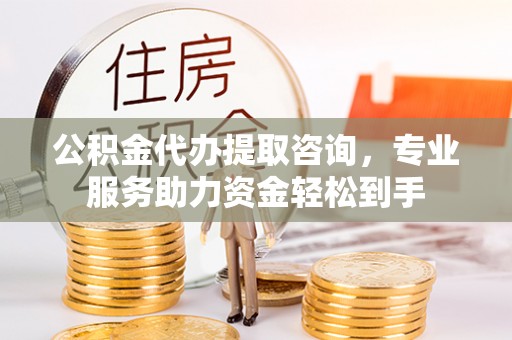 陵水公积金代办提取咨询，专业服务助力资金轻松到手