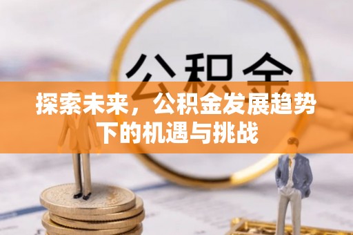 陵水探索未来，公积金发展趋势下的机遇与挑战