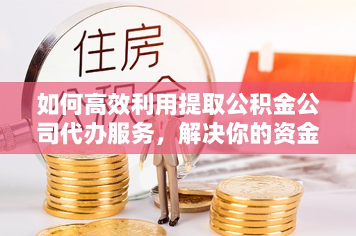 陵水如何高效利用提取公积金公司代办服务，解决你的资金难题