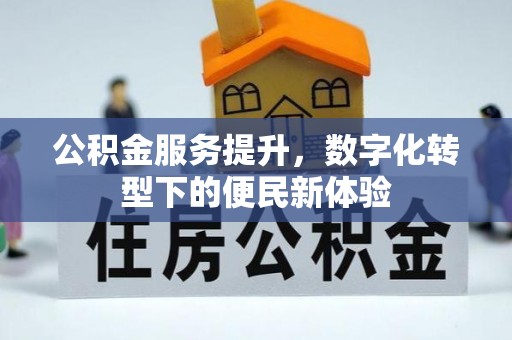 陵水公积金服务提升，数字化转型下的便民新体验