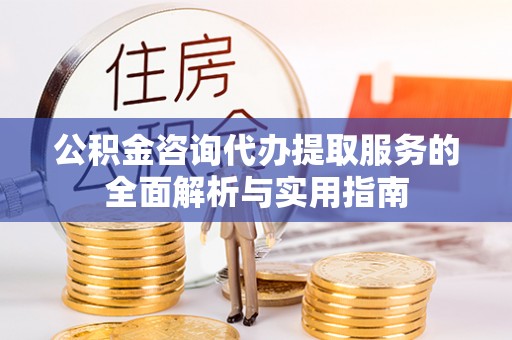 陵水公积金咨询代办提取服务的全面解析与实用指南
