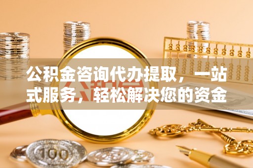陵水公积金咨询代办提取，一站式服务，轻松解决您的资金需求