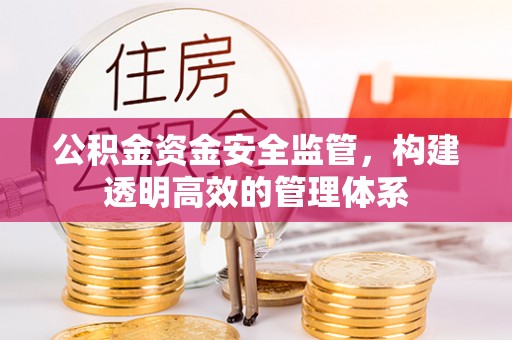 陵水公积金资金安全监管，构建透明高效的管理体系