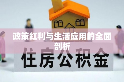 陵水政策红利与生活应用的全面剖析