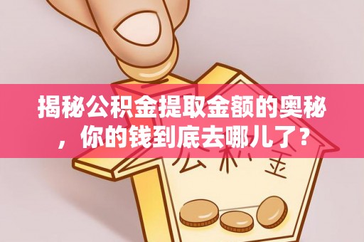 陵水揭秘公积金提取金额的奥秘，你的钱到底去哪儿了？