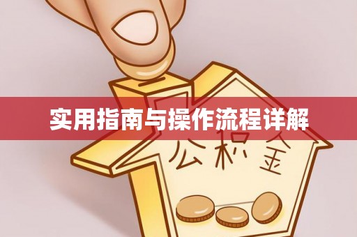 陵水实用指南与操作流程详解