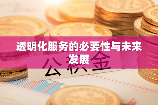 陵水透明化服务的必要性与未来发展