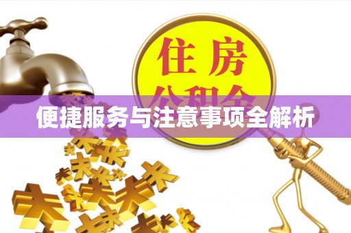 陵水便捷服务与注意事项全解析