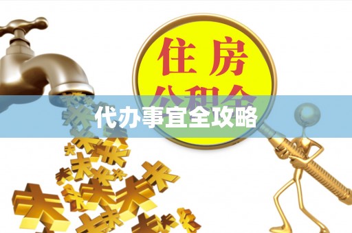 陵水代办事宜全攻略