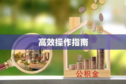 陵水高效操作指南