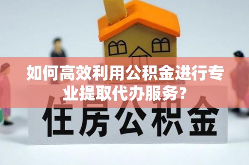 陵水如何高效利用公积金进行专业提取代办服务？