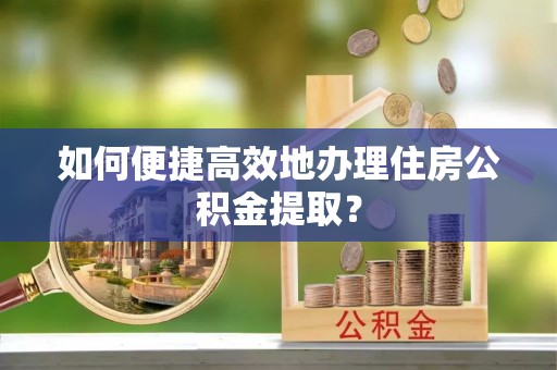 陵水如何便捷高效地办理住房公积金提取？