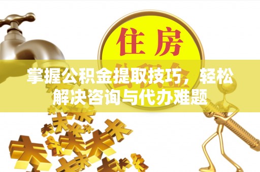 陵水掌握公积金提取技巧，轻松解决咨询与代办难题