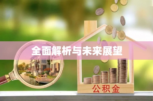 陵水全面解析与未来展望