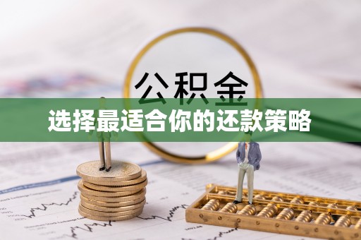 陵水选择最适合你的还款策略