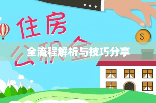 陵水全流程解析与技巧分享