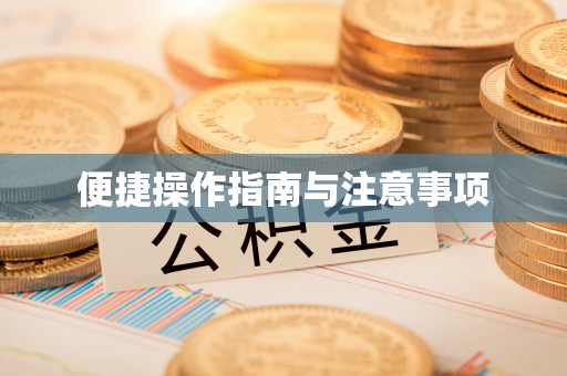 陵水便捷操作指南与注意事项